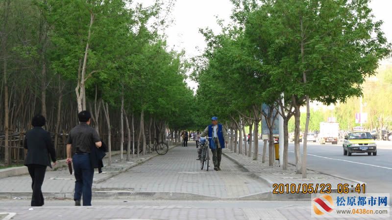 林荫路