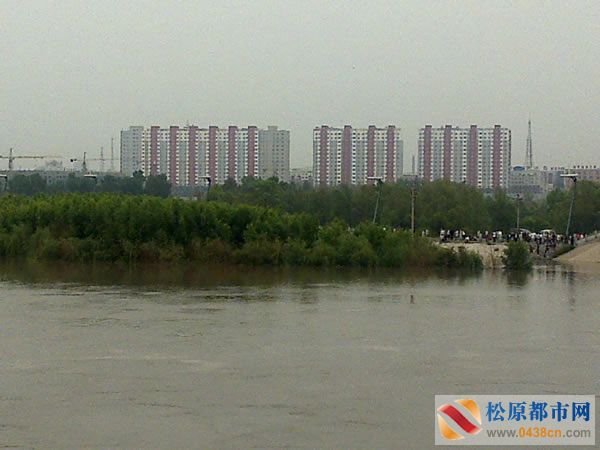 20100804019.jpg