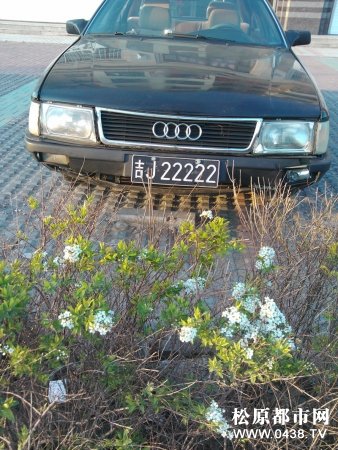 IMG_20120504_175821.jpg