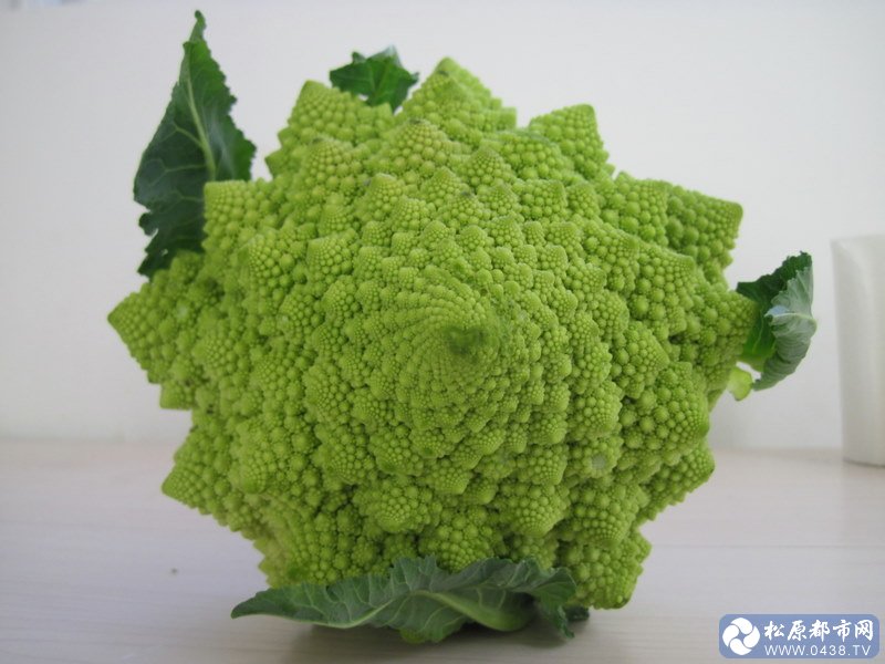 花菜.jpg