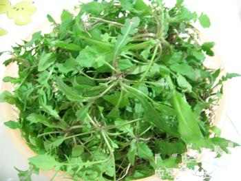 野菜.jpg