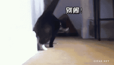 20130221230640_i4PLU.gif
