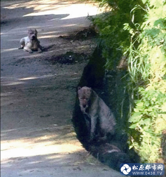 QQ截图20130528194913.png