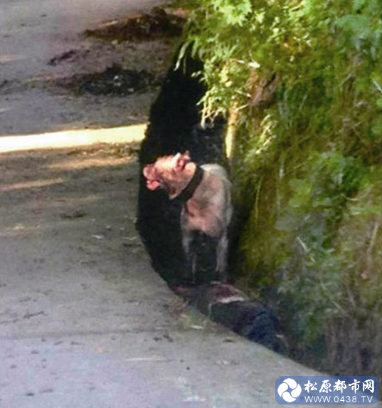 QQ截图20130528195011.png