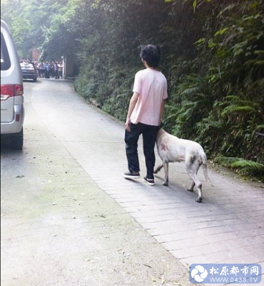 QQ截图20130528195030.png