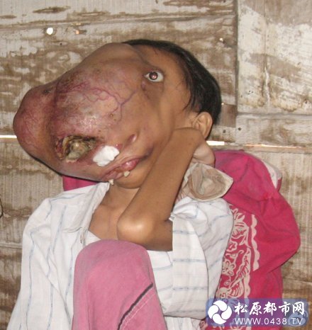 河马脸.....jpg
