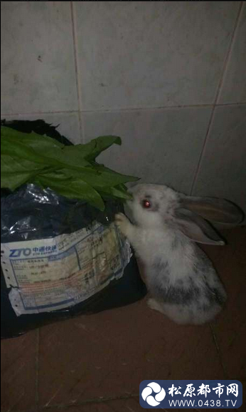 QQ截图20140312082021.png