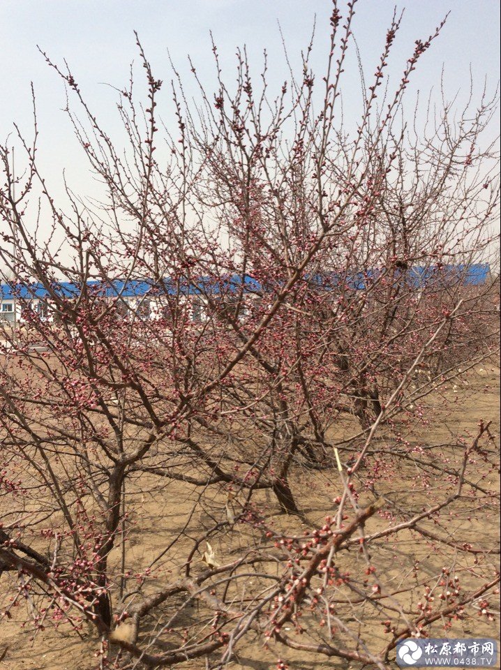 QQ图片20140414174919.jpg