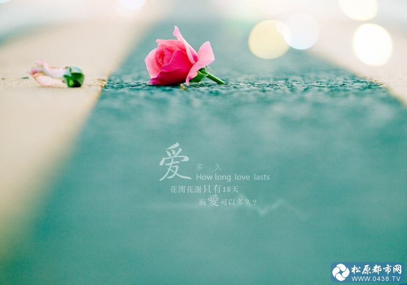 2012123119404550.jpg