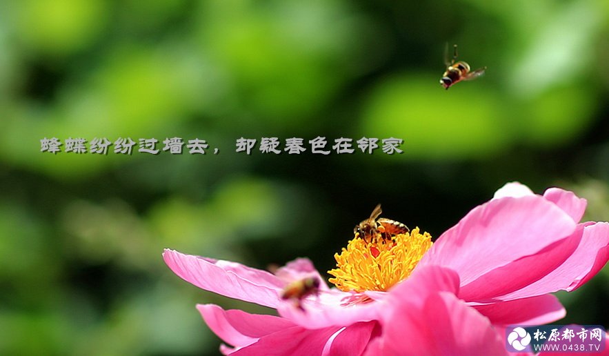 490_673868_c5716f99dc67983.jpg