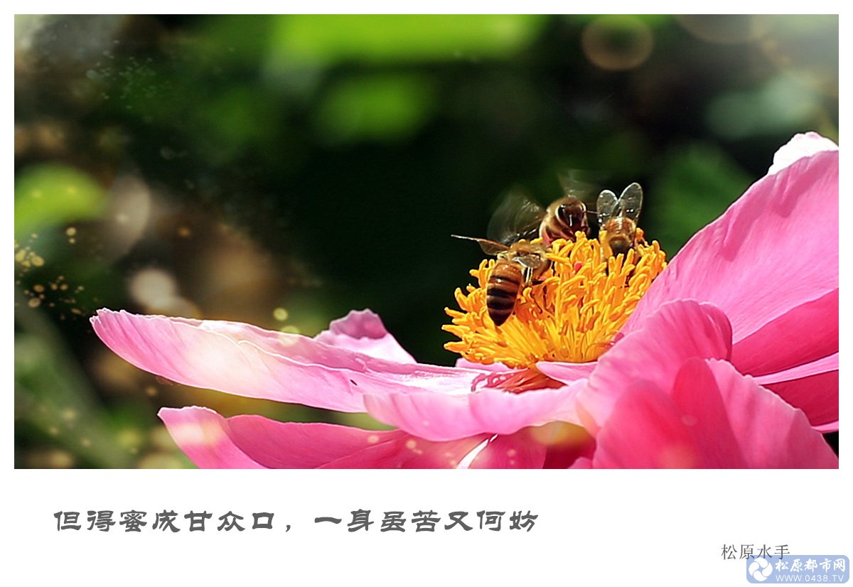 490_673868_4618ea2bd7b82ff.jpg