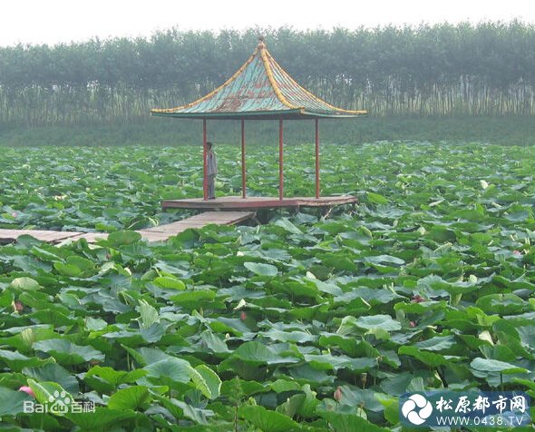 QQ截图20140705151447.jpg