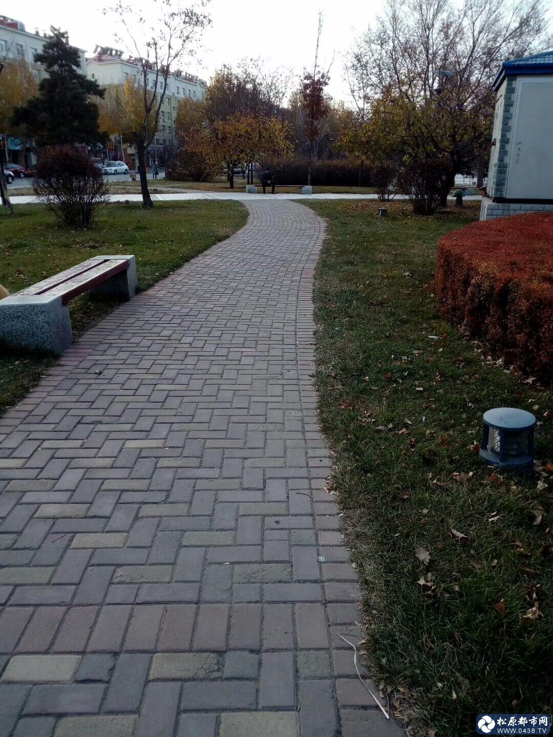 mmexport1509012287690.jpg