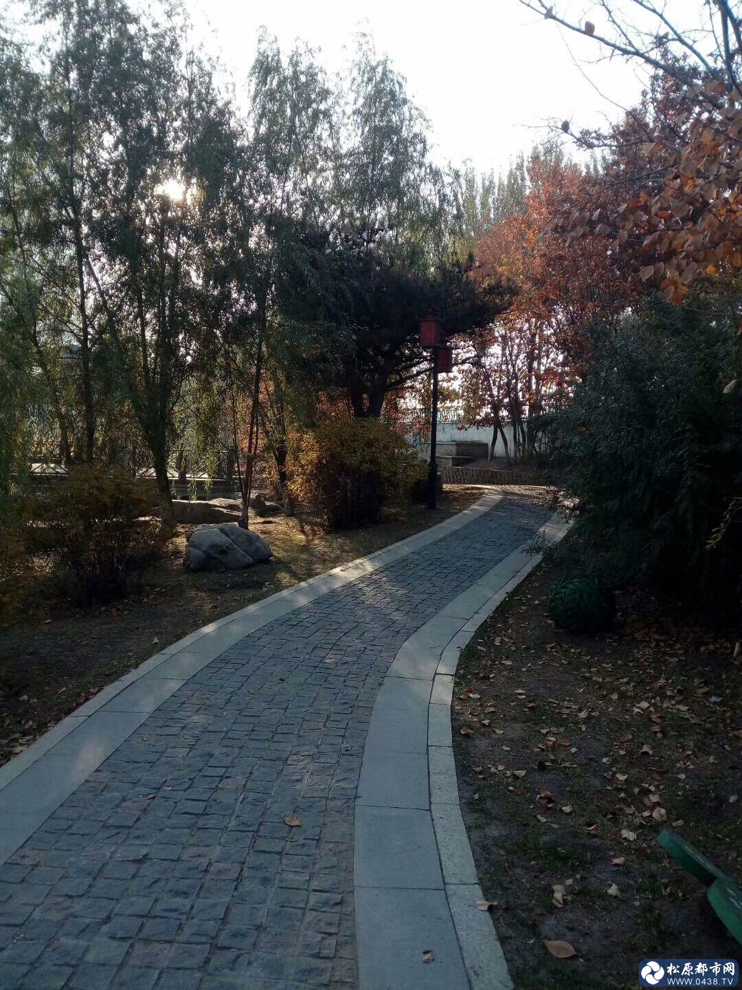 mmexport1509012382080.jpg