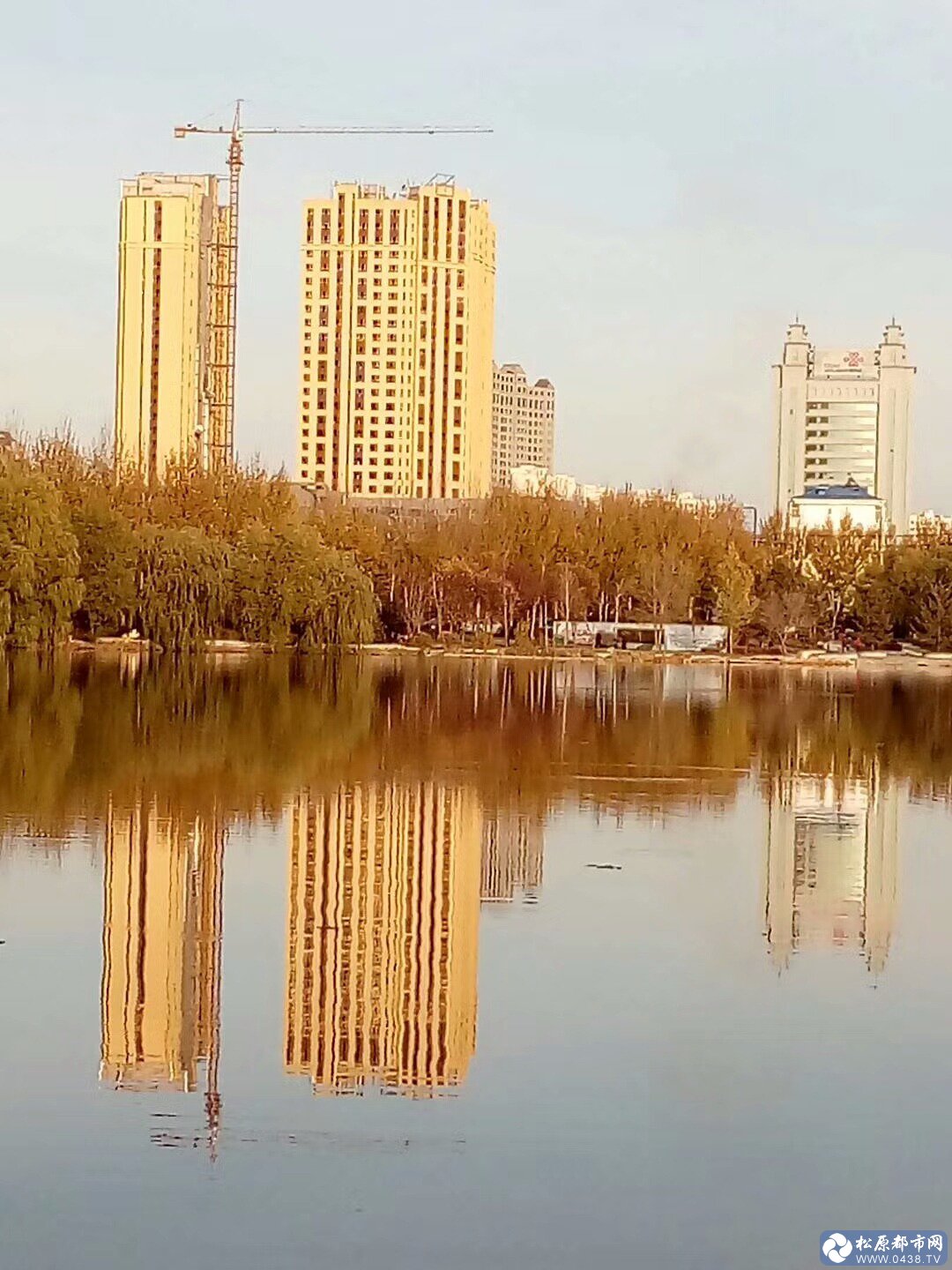 mmexport1509012268638.jpg