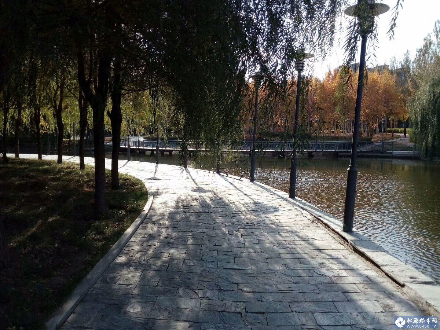 mmexport1509012459096.jpg