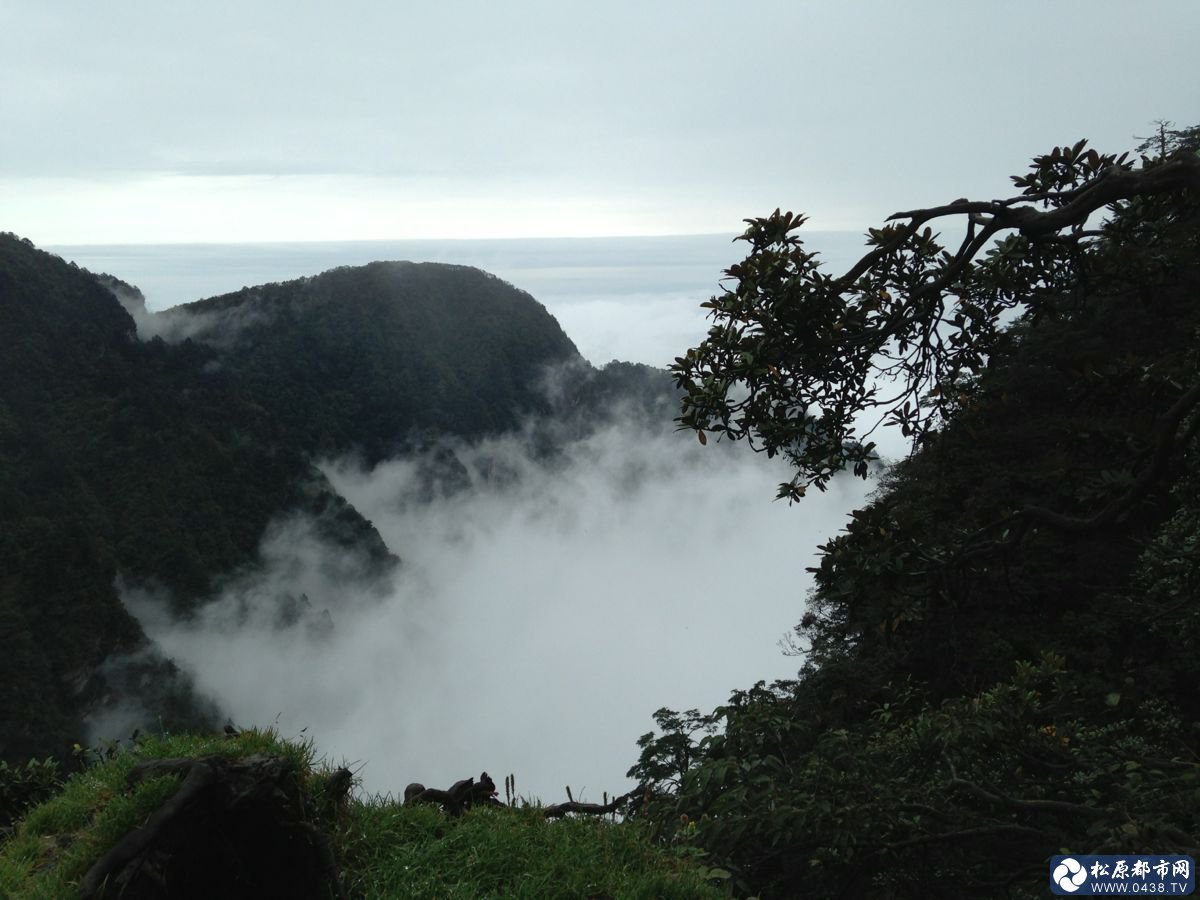 峨眉山.jpg