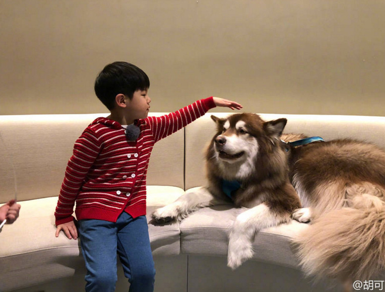 15126102221893.jpg