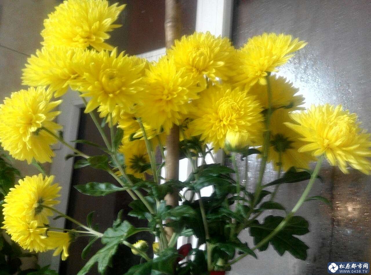20171211_15231_1512943293732.jpg
