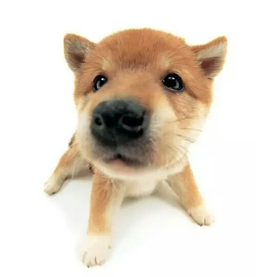 4.JPEG