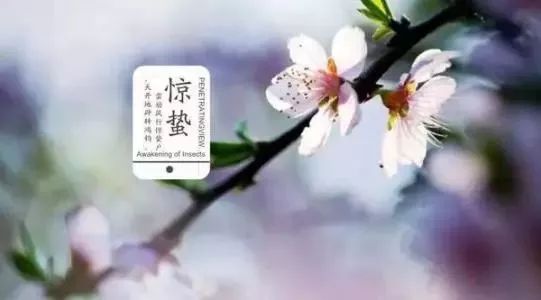 57cfdcaf6ad38916a6a263f98bb85a5f.jpg