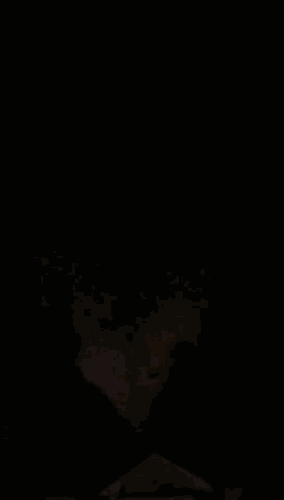 5ac29805926651d02a91653116e43efd.gif